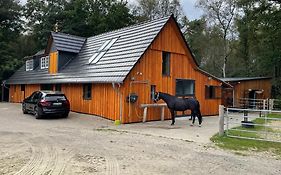 Steffens Hof